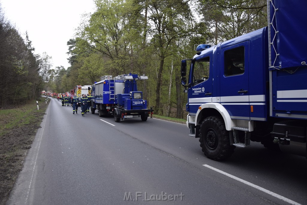 Waldbrand Wahner Heide Troisdorf Eisenweg P277.JPG - Miklos Laubert